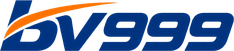 BV999 Logo